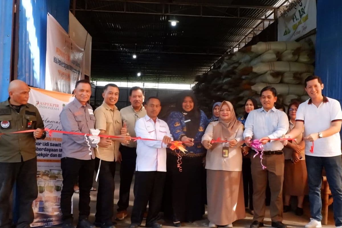 LIMBAH SAWIT INDONESIA TEMBUS PASAR CHINA | Ekspor Perdana 28 Ton Lidi Sawit Buka Peluang Ekonomi Baru bagi Petani
